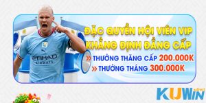 đặc quyền hội viên vip của nhà cái kuwin ảnh đại diện