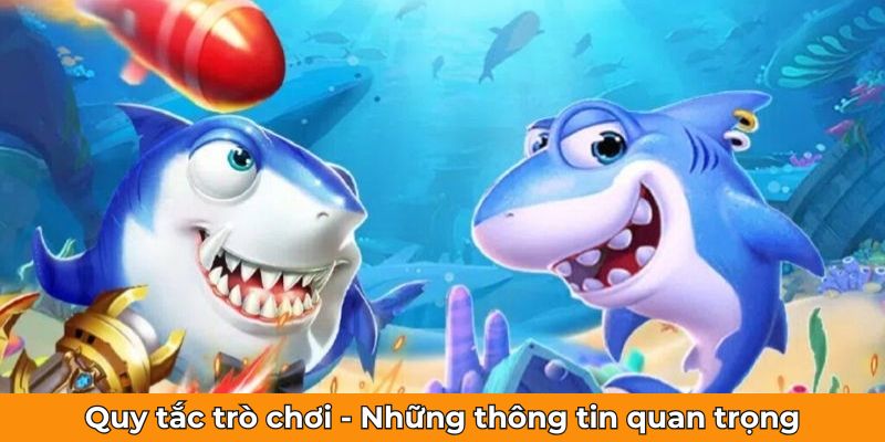 Quy tắc trò chơi - Những thông tin quan trọng